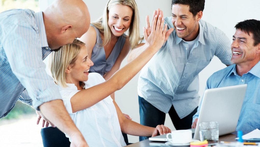 Habilidades Profesionales