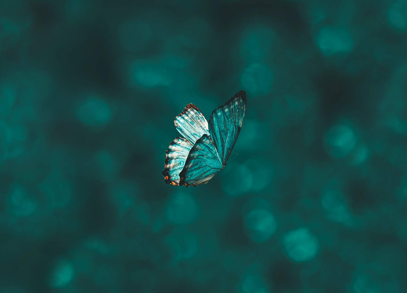 Katy Milkman Habla sobre cómo Cambiar para Mejorar