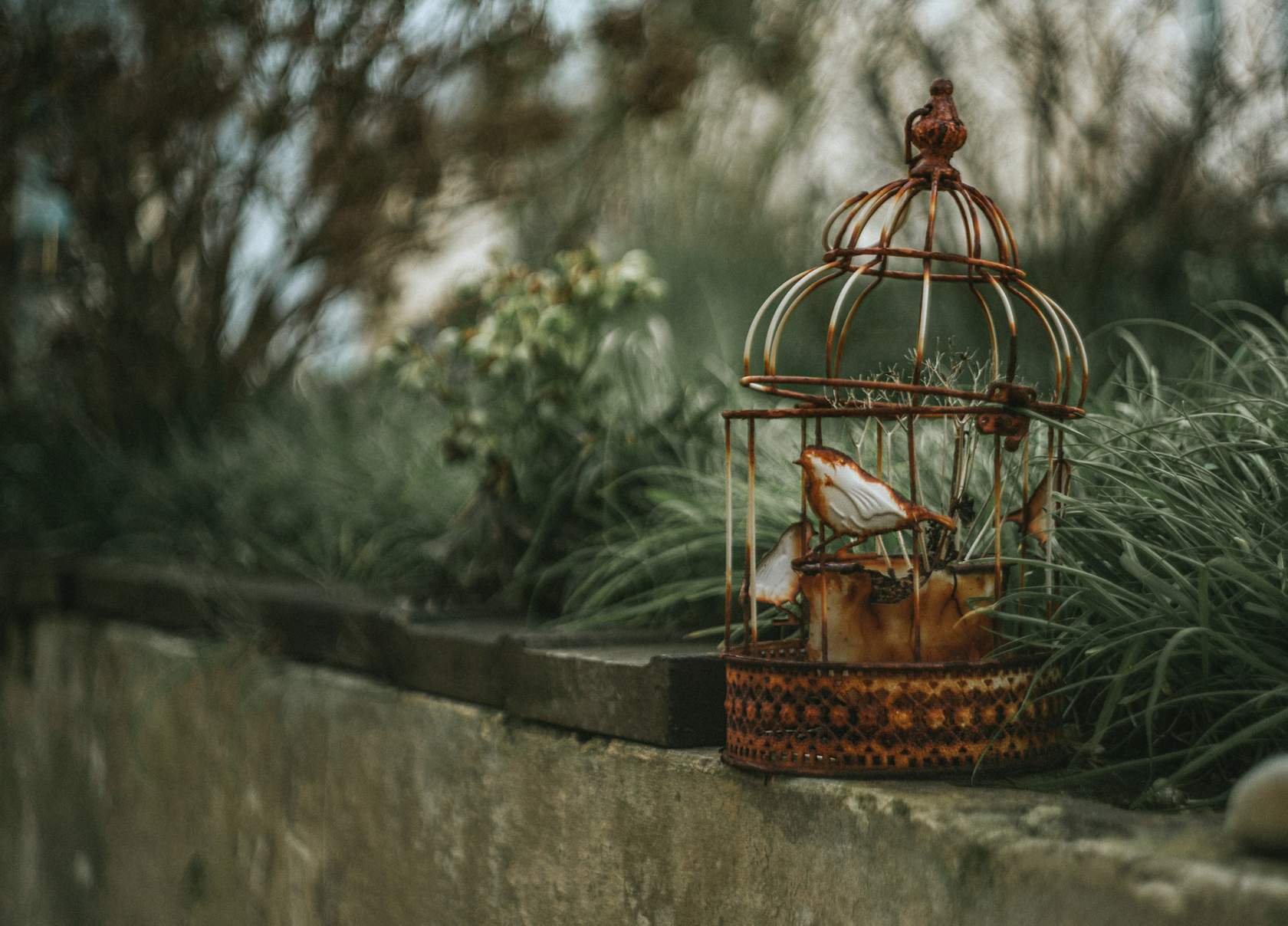 Amanda Ripley sobre por qué Quedamos Atrapados en un Conflicto y cómo Salimos